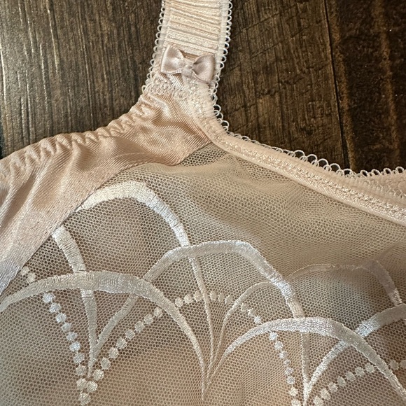 Elomi Beautiful Sheer Lace Bra in Nude Color Size 40I - Picture 6 of 9